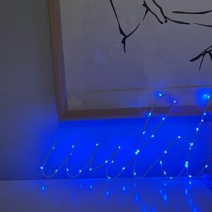 Blue LED “wild” Light Sign 💙
